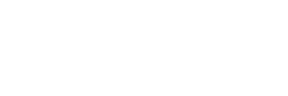 logo the perfect eyebrow